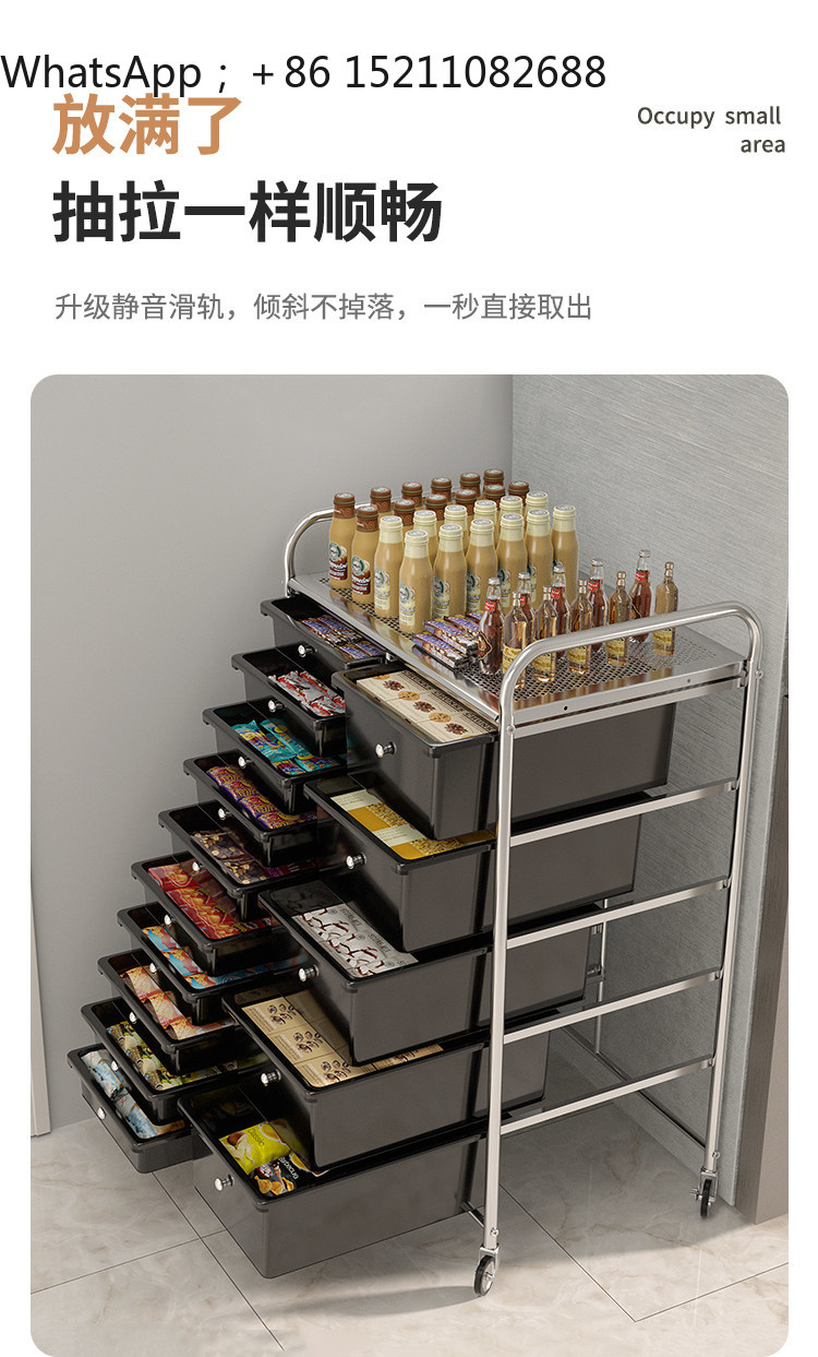Storage & Organization - خزانة تخزين مستحضرات التجميل المتنقلة SCY