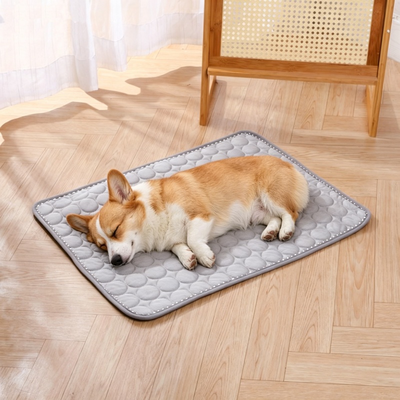 بساط تبريد صيفي للحيوانات الأل - مراجعة Cooling Blanket Hot Sleepers وسعره